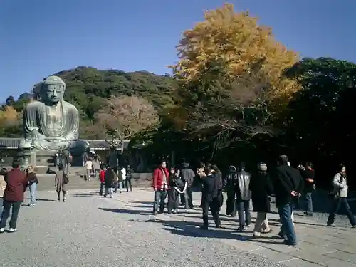 高徳院の仏像