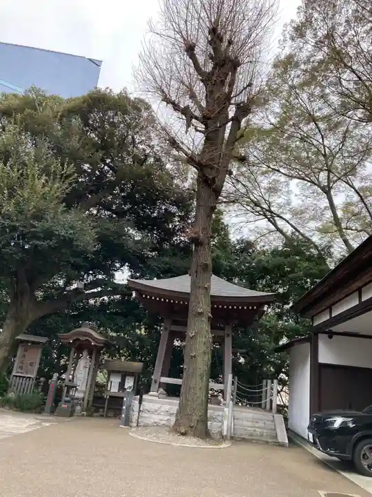 大圓寺(東京都)