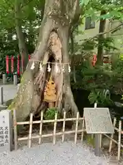 秩父今宮神社の自然