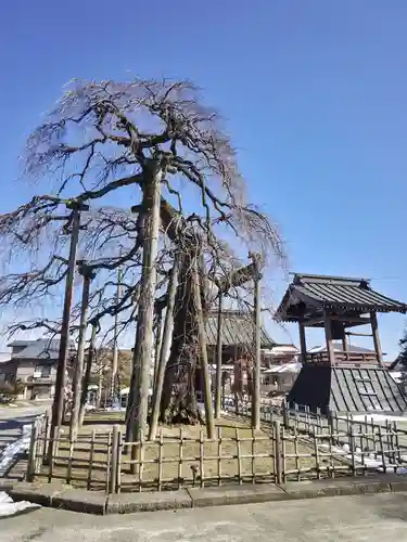 円東寺(福島県)