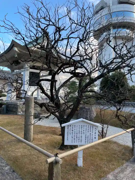 月照寺(兵庫県)