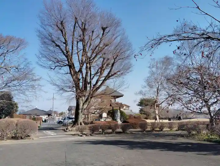 善長寺(群馬県)