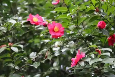 神炊館神社 ⁂奥州須賀川総鎮守⁂の庭園