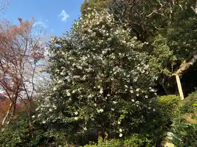 金福寺(京都府)