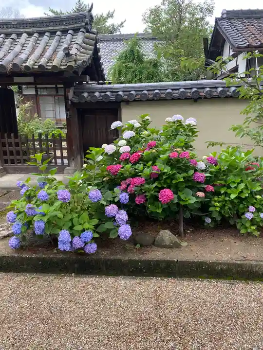 西大寺(奈良県)