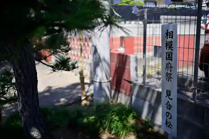 相模国総社六所神社(神奈川県)