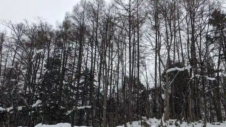 定山渓神社の自然