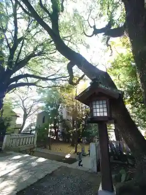 洲崎大神(神奈川県)