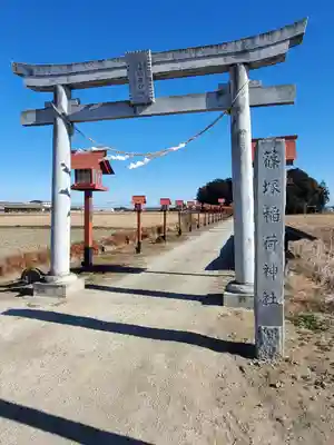 篠塚稲荷神社の鳥居