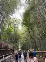 野宮神社(京都府)