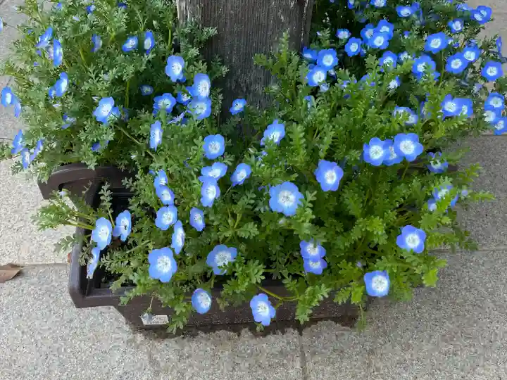 椿ノ海 水神社(千葉県)