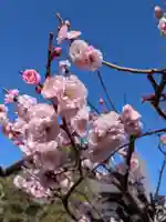 瑞円寺(東京都)