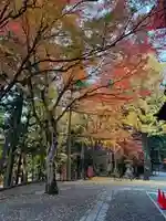 日枝神社(岐阜県)