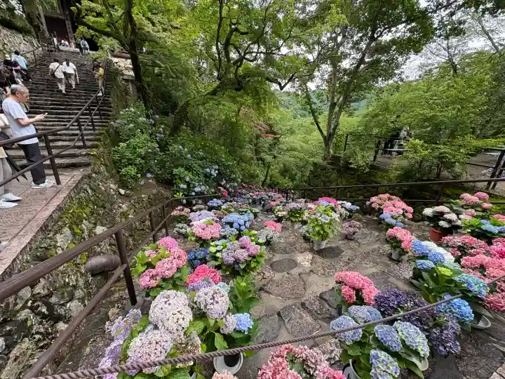 長谷寺(奈良県)