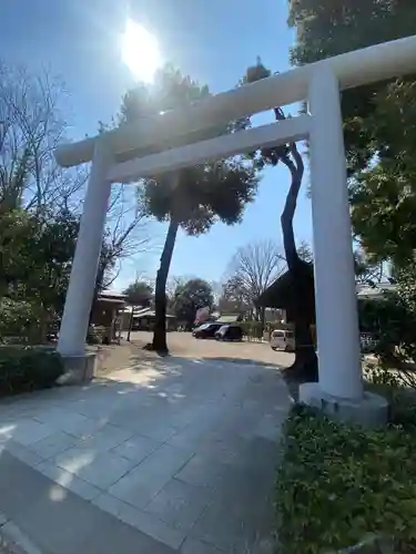 所澤神明社の鳥居