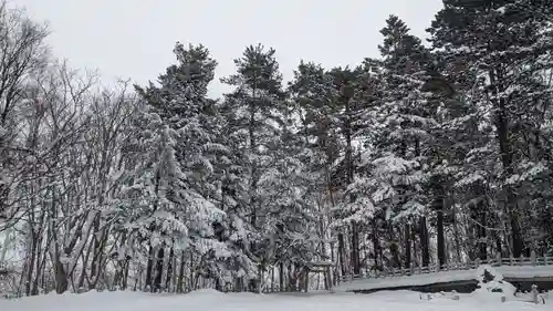 上川神社の自然