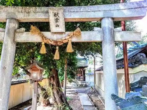 天神社（河和天神社）の鳥居