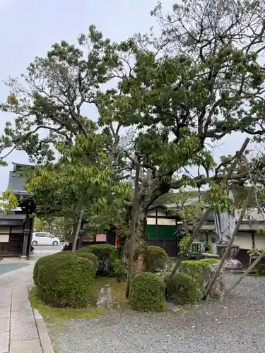 常喜院(和歌山県)