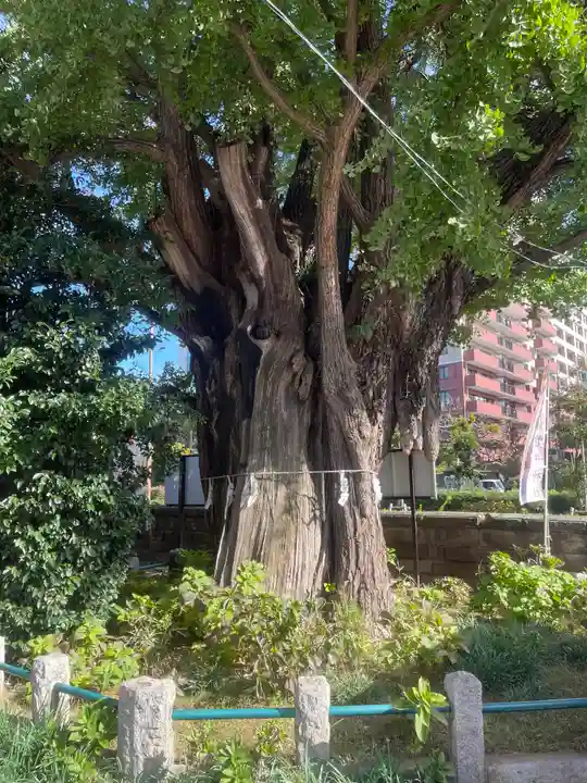 磐井神社(東京都)