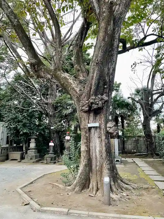 最勝寺教学院(東京都)