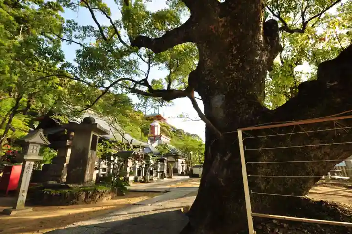 薬王寺(徳島県)