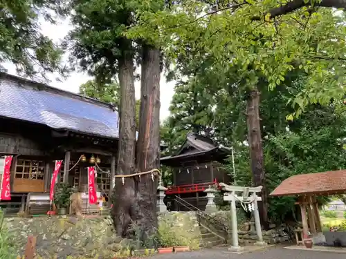 高司神社〜むすびの神の鎮まる社〜の自然