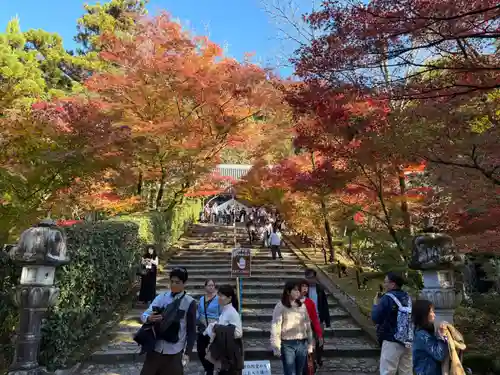 禅林寺（永観堂）(京都府)