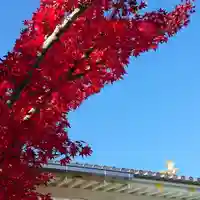 寿量山 速成寺の庭園