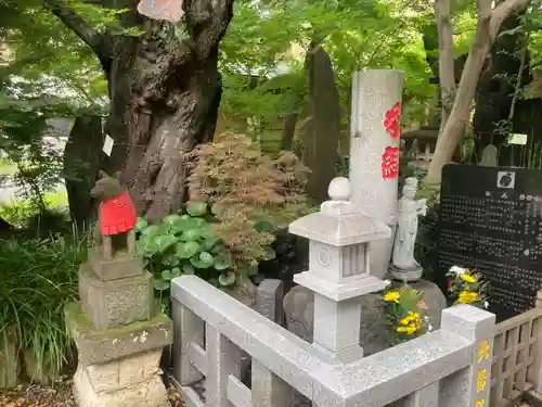 澤蔵司稲荷（慈眼院）(東京都)