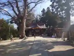 素鵞神社の建物その他