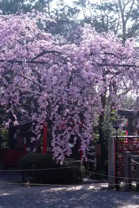 水火天満宮(京都府)