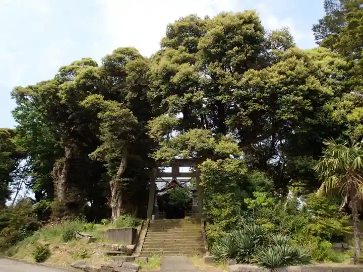 忌波神社の自然