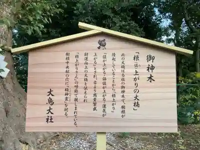 和泉國一之宮　大鳥大社(大阪府)