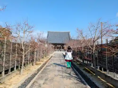 西本徳寺の山門