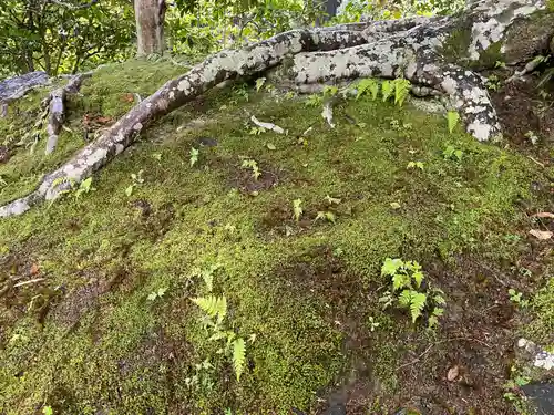 安楽寺(京都府)