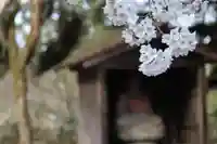 医王寺/医王寺薬師堂の自然