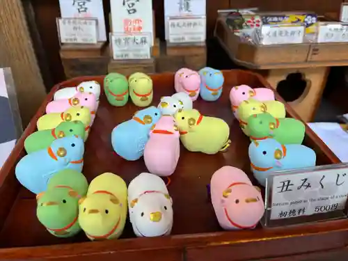 菅原院天満宮神社のおみくじ