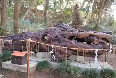 泉神社(茨城県)