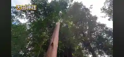 太田神社(京都府)