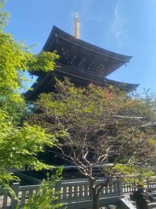 村松虚空蔵堂(日高寺)(茨城県)