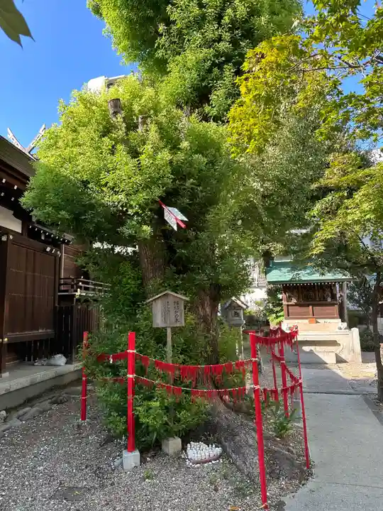 三輪神社(愛知県)