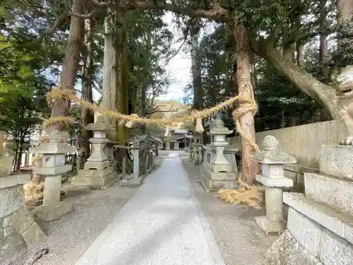 若宮神社(滋賀県)