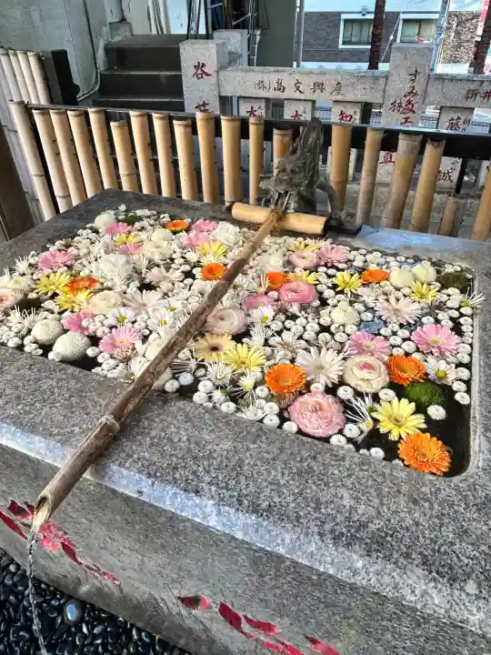 高円寺氷川神社(東京都)