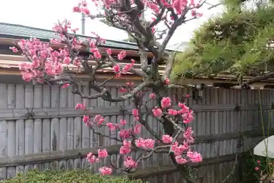 圓通寺(香川県)