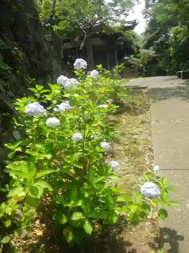 法性寺の自然