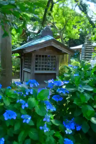 妙楽寺(神奈川県)