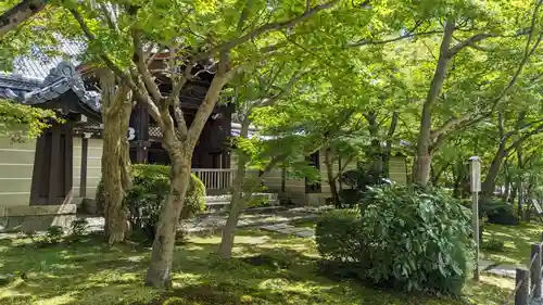 禅林寺（永観堂）(京都府)