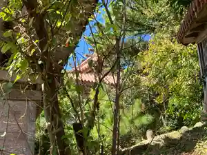 普天満宮の本殿・本堂