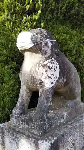 冨士浅間神社の狛犬