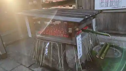 市比賣神社(京都府)